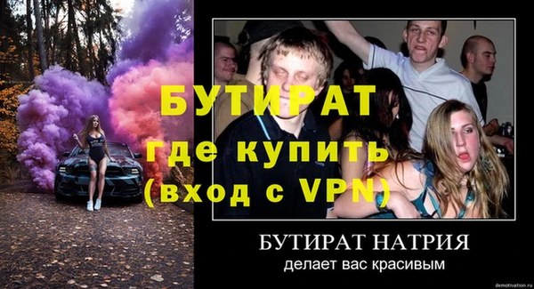индика Алексин