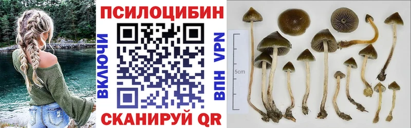 MEGA зеркало  Собинка  Псилоцибиновые грибы GOLDEN TEACHER 